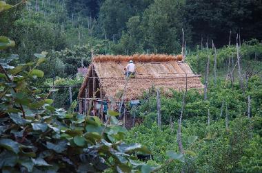 Apartamento de vacaciones en Tramonti - Costiera Amalfitana - (Salerno)Casa de vacaciones