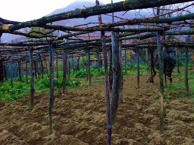 Apartamento de vacaciones en Tramonti - Costiera Amalfitana - (Salerno)Casa de vacaciones