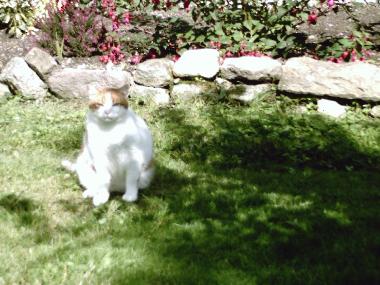 Casa de vacaciones en locronan (Finist�re)Casa de vacaciones