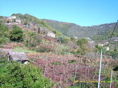 Apartamento de vacaciones en Tramonti - Costiera Amalfitana - (Salerno)Casa de vacaciones