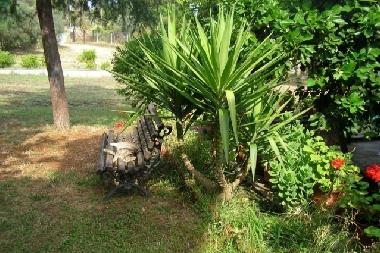 Casa de vacaciones en Sithonia (Chalkidiki)Casa de vacaciones