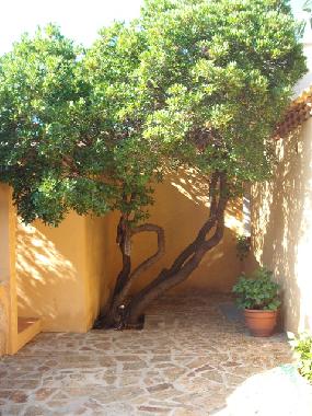 Casa de vacaciones en Baja Sardinia (Olbia-Tempio)Casa de vacaciones
