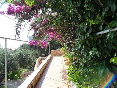 Apartamento de vacaciones en Novalja (Primorsko-Goranska)Casa de vacaciones