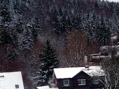 Apartamento de vacaciones en Braunlage (Harz)Casa de vacaciones