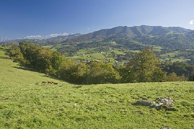 VISTAS DESDE EL APARTAMENTO A PICOS DE EUROPA