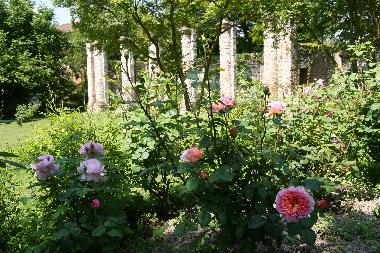 Casa de vacaciones en Strassoldo (Udine)Casa de vacaciones