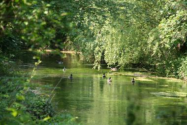 Casa de vacaciones en Strassoldo (Udine)Casa de vacaciones