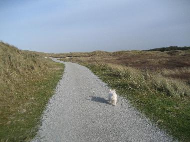 Apartamento de vacaciones en Ameland Buren (Friesland)Casa de vacaciones