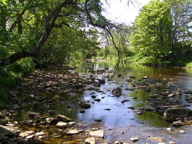 Casa de vacaciones en Stanhope (Tees Valley and Durham)Casa de vacaciones