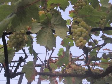 Chalet en Hrabrino (Plovdiv)Casa de vacaciones