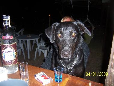 Casa de vacaciones en Zahora (C�diz)Casa de vacaciones