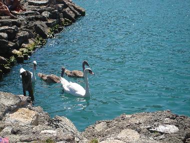 Apartamento de vacaciones en Ohrid (Ohrid)Casa de vacaciones