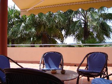 Terraza 1