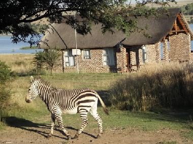 Chalet en Kroonstad (Free State)Casa de vacaciones