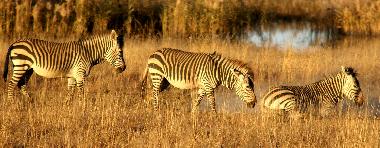 Chalet en Kroonstad (Free State)Casa de vacaciones