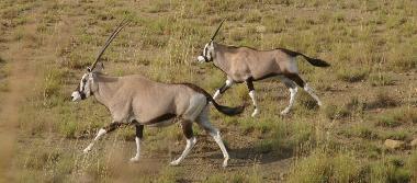 Chalet en Kroonstad (Free State)Casa de vacaciones