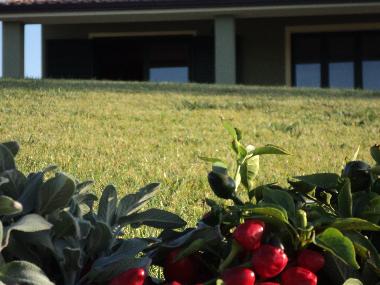 Apartamento de vacaciones en Sa Rocca Tunda (Oristano)Casa de vacaciones