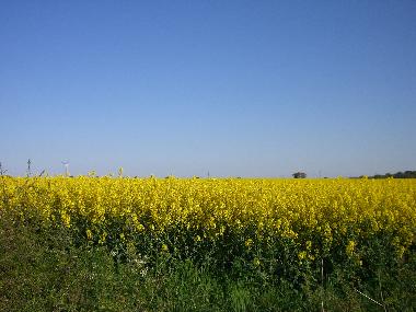 Apartamento de vacaciones en Kr�slin (Mecklenburgische Ostseek�ste)Casa de vacaciones