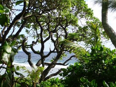 Casa de vacaciones en RAROTONGA (Cookinseln)Casa de vacaciones