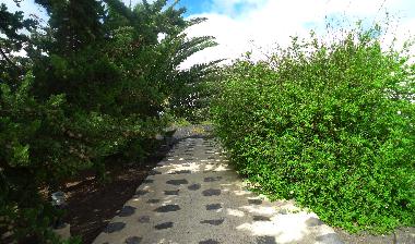 Casa de vacaciones en la Vegueta ( Tinajo) (Lanzarote)Casa de vacaciones