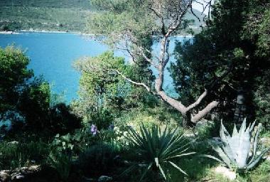 Apartamento de vacaciones en Mali Ston (Dubrovacko-Neretvanska)Casa de vacaciones