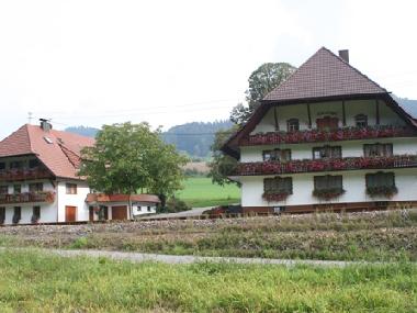 Apartamento de vacaciones en Zell am Harmersbach (Schwarzwald)Casa de vacaciones