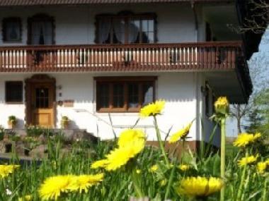 Apartamento de vacaciones en Zell am Harmersbach (Schwarzwald)Casa de vacaciones