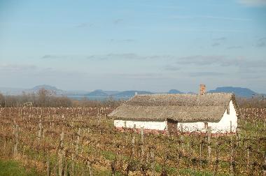 Casa de vacaciones en Balatonbereny (Somogy)Casa de vacaciones