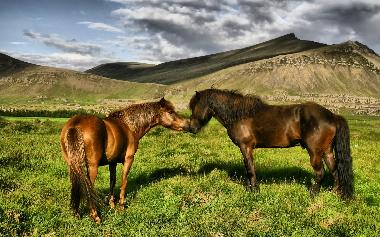 Casa de vacaciones en Borgarnes (Myrasysla)Casa de vacaciones