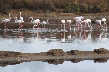 Apartamento de vacaciones en Cabanas de Tavira (Algarve)Casa de vacaciones