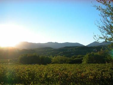 Villa en san pietro di feletto (Treviso)Casa de vacaciones