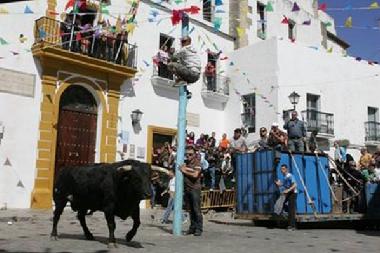 Toro embolao. Domingo de resurreccin. 24-04-2011