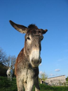 Casa de vacaciones en Eymet (Dordogne)Casa de vacaciones