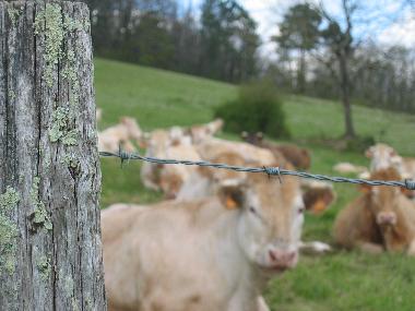 Casa de vacaciones en Eymet (Dordogne)Casa de vacaciones