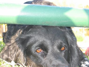 Casa de vacaciones en Eymet (Dordogne)Casa de vacaciones