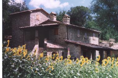Villa en Cortona Mercatale (Arezzo)Casa de vacaciones