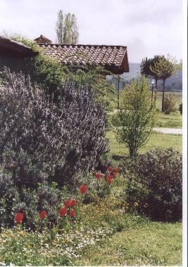 Villa en Cortona Mercatale (Arezzo)Casa de vacaciones