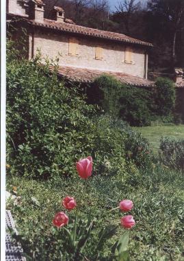 Villa en Cortona Mercatale (Arezzo)Casa de vacaciones