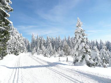 Apartamento de vacaciones en Vesser (Th�ringer Wald)Casa de vacaciones