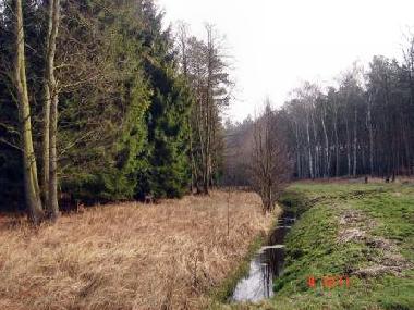 Apartamento de vacaciones en Ueckermnde (Mecklenburgische Ostseekste)Casa de vacaciones