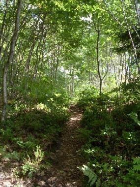 Apartamento de vacaciones en Risor (Aust-Agder)Casa de vacaciones