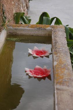 Apartamento de vacaciones en Cas Concos -Felanitx- (Mallorca)Casa de vacaciones