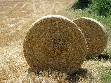 Casa de vacaciones en Anghiari (Arezzo)Casa de vacaciones