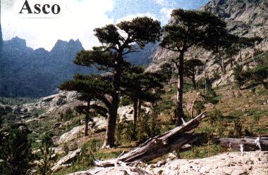 Casa de vacaciones en Urtaca (Haute-Corse)Casa de vacaciones