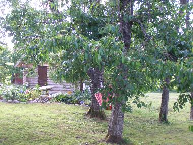 Casa de vacaciones en Kurzeme, Edole (Lettland)Casa de vacaciones