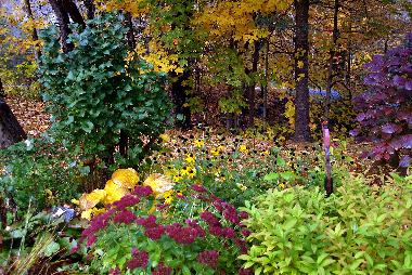 Chalet en Morin-Heights (Quebec)Casa de vacaciones