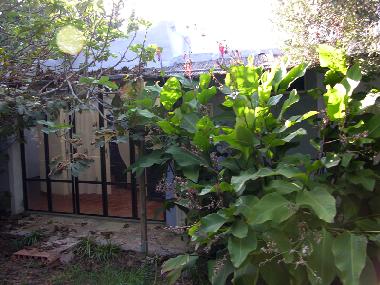 Casa de vacaciones en El Colorado (Cdiz)Casa de vacaciones