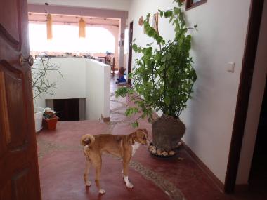 Casa de vacaciones en Ribeira do Joao (Maio)Casa de vacaciones