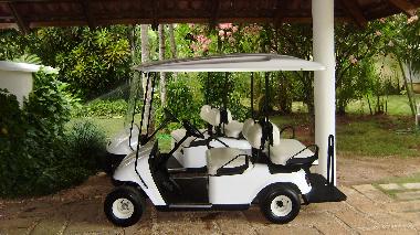 Carrito de Golf (extra)