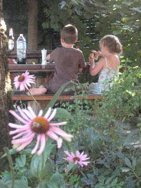 Cama y desayuno en Biert/ Massat (Ari�ge)Casa de vacaciones